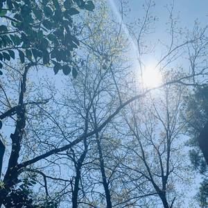 Meet your Posher, Shana